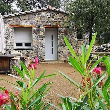 Отель Domaine Rondini Moltifao Экстерьер фото