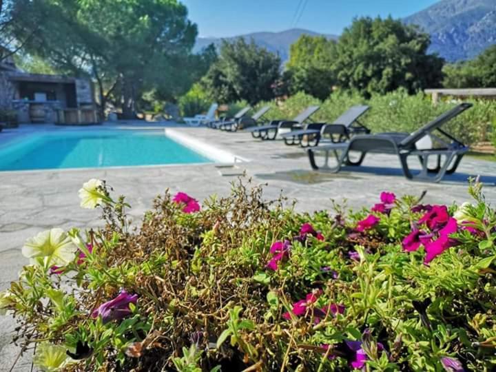 Отель Domaine Rondini Moltifao Экстерьер фото
