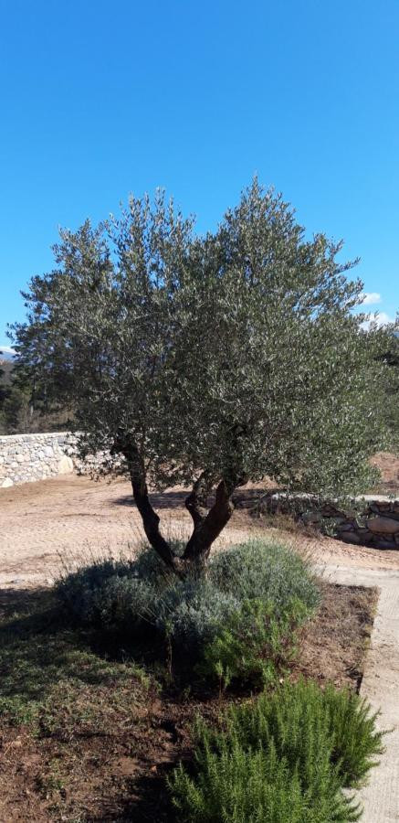 Отель Domaine Rondini Moltifao Экстерьер фото